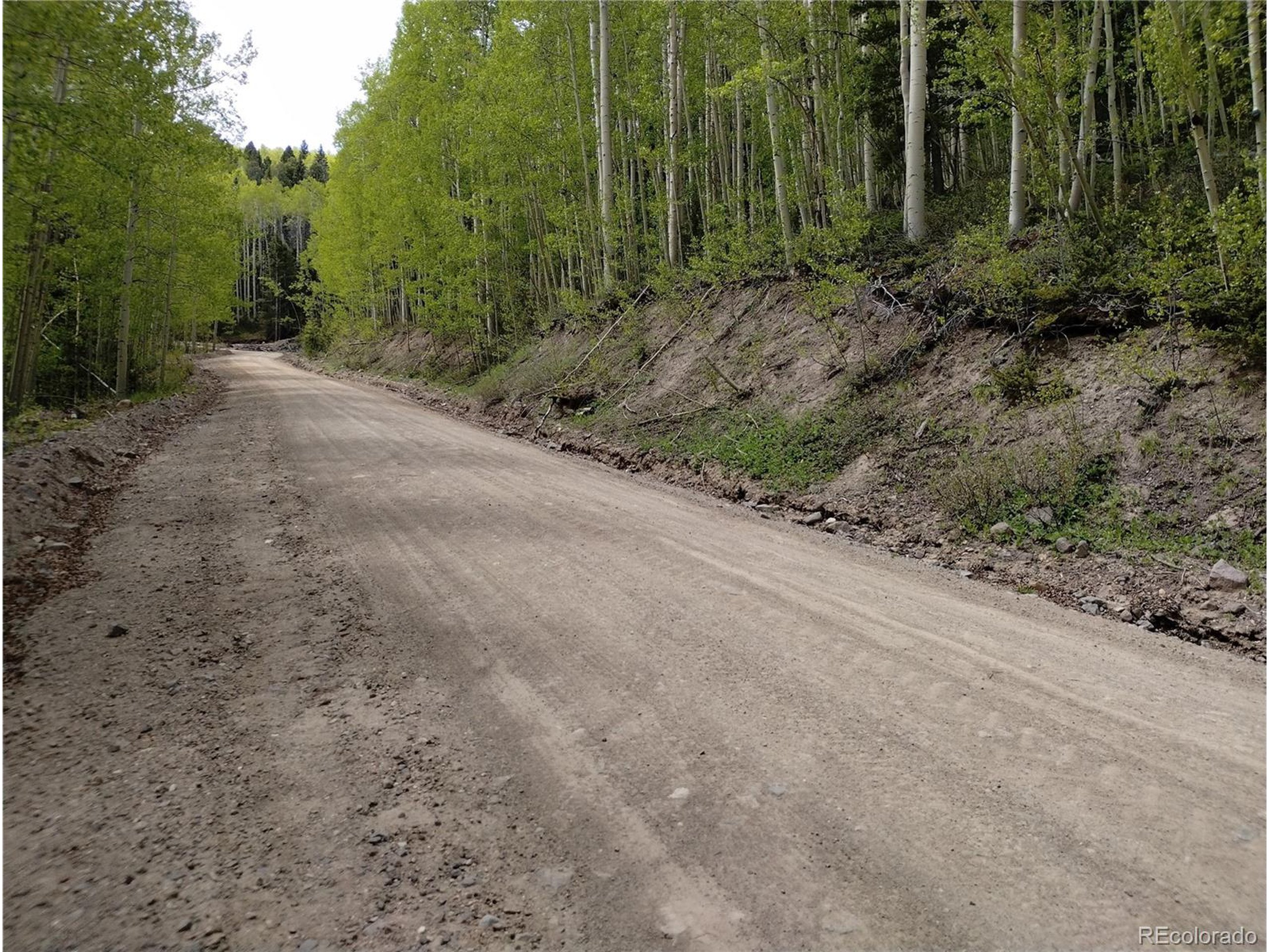 5364 Slegers Road Fort Garland, CO 81133 - Photo 7 of 15