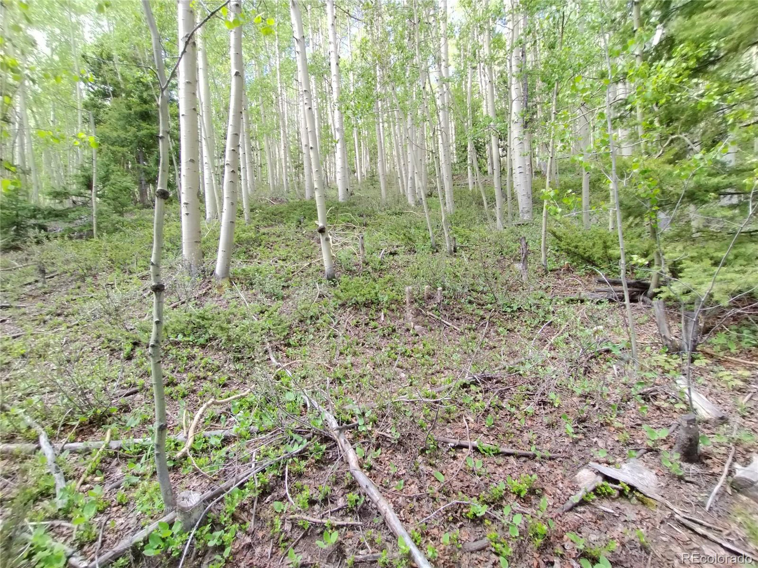 5364 Slegers Road Fort Garland, CO 81133 - Photo 9 of 15