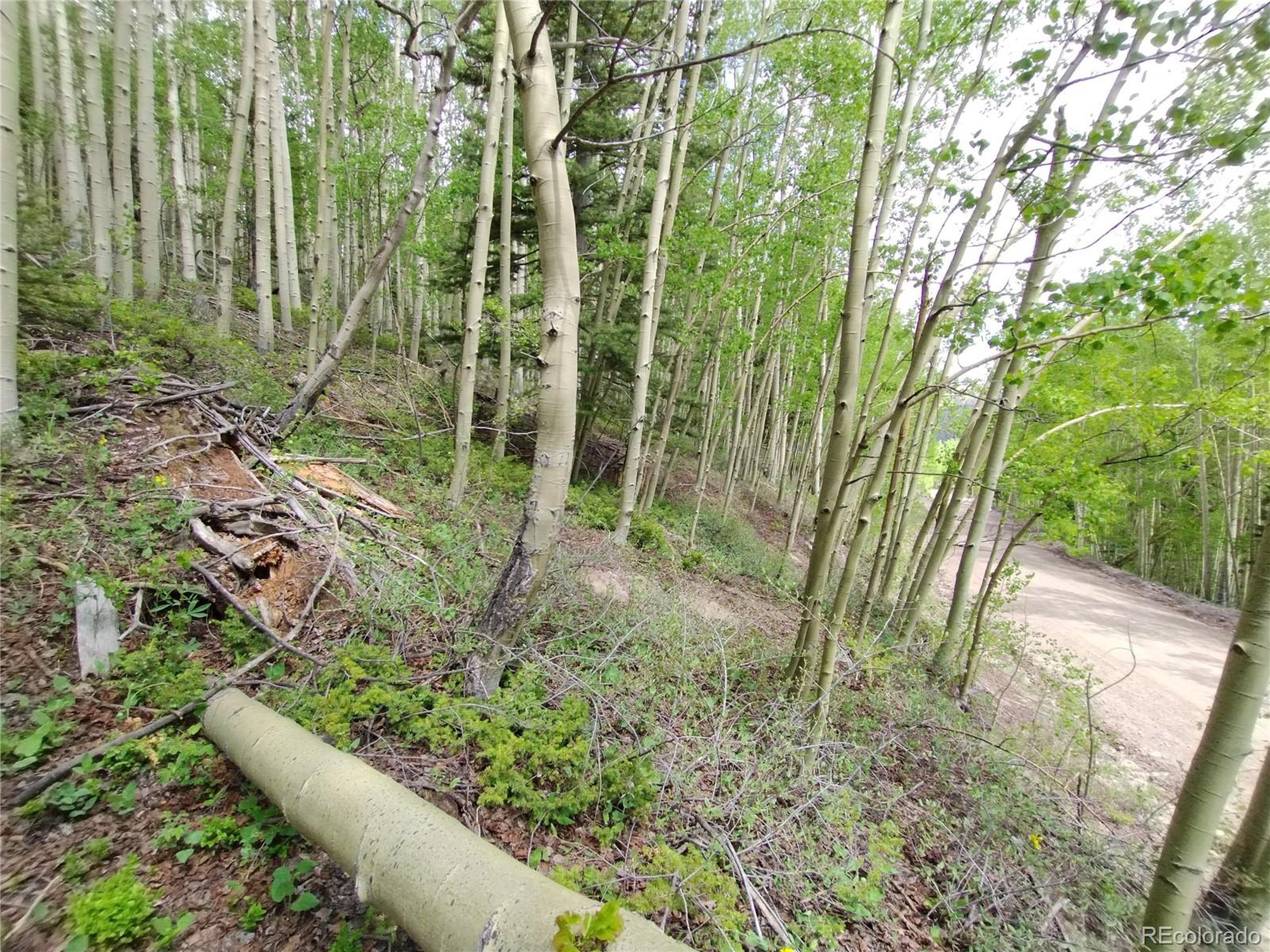 5364 Slegers Road Fort Garland, CO 81133 - Photo 10 of 15