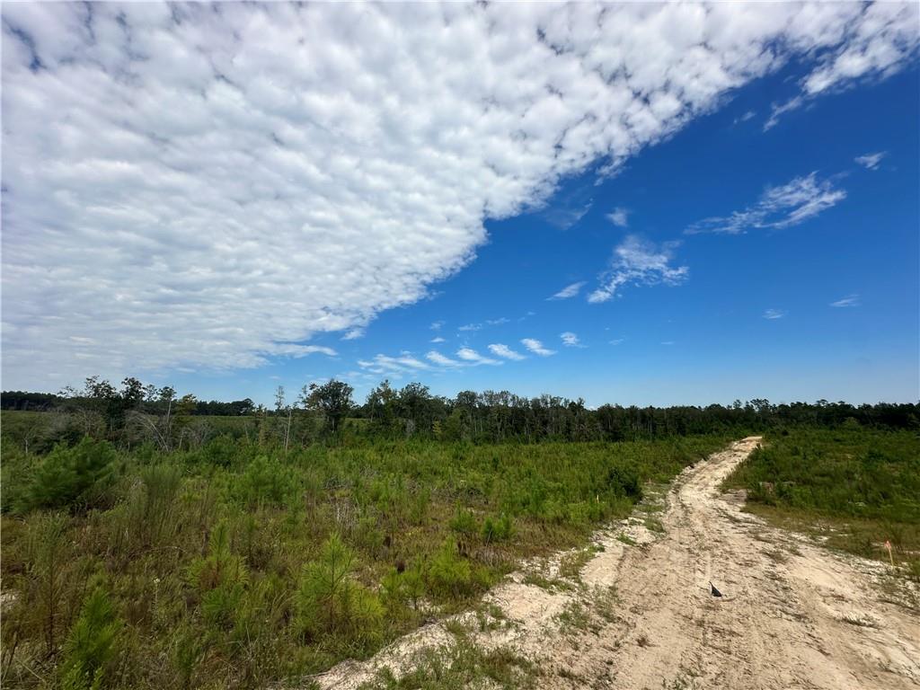 Lot 7 Ridge Road Seale, AL 36875 - Photo 4 of 10 View of local wilderness featuring a rural view