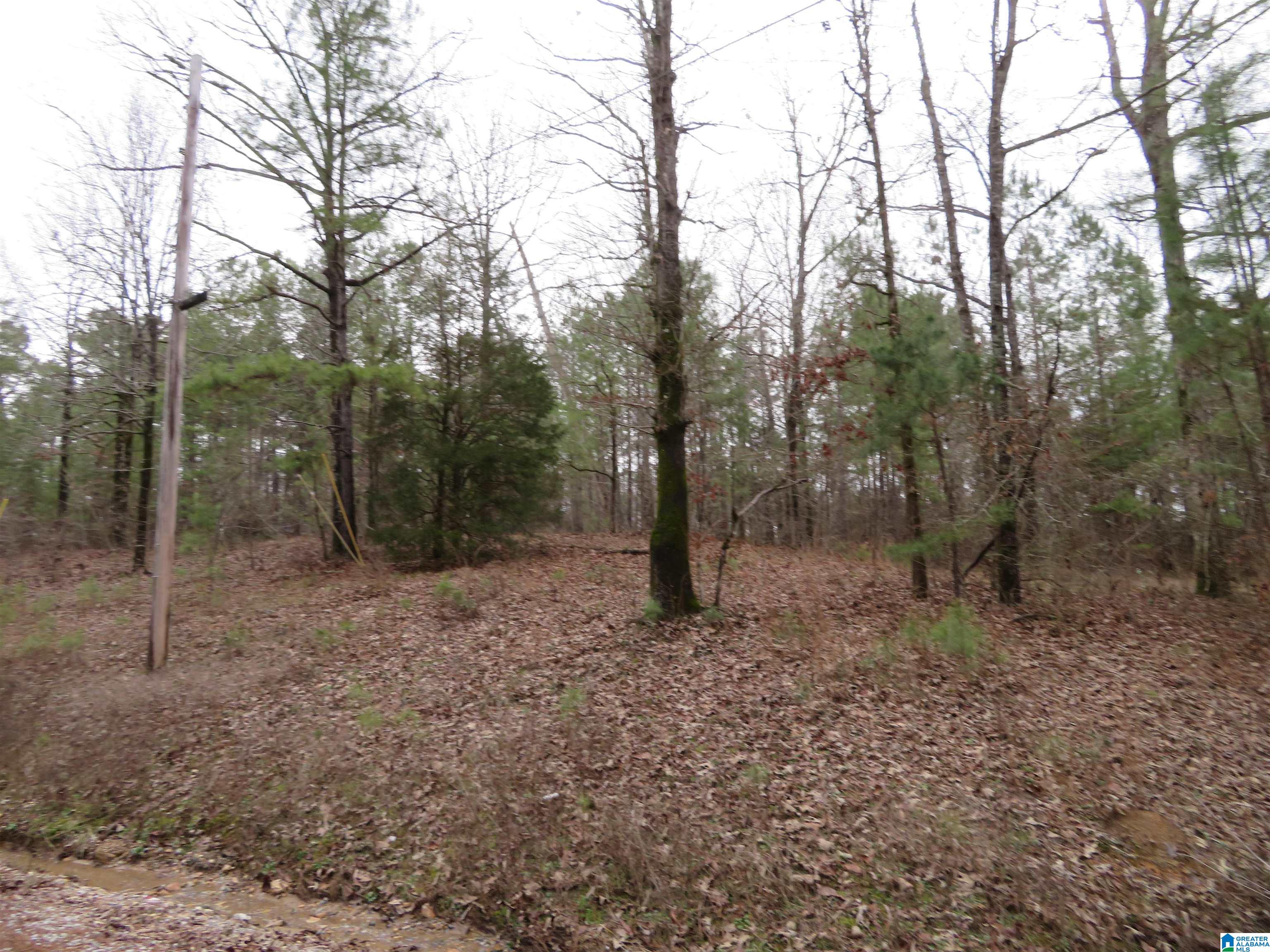 0 Cp Crk Road, Unit ACREAGE West Blocton, AL 35184 - Photo 5 of 6
