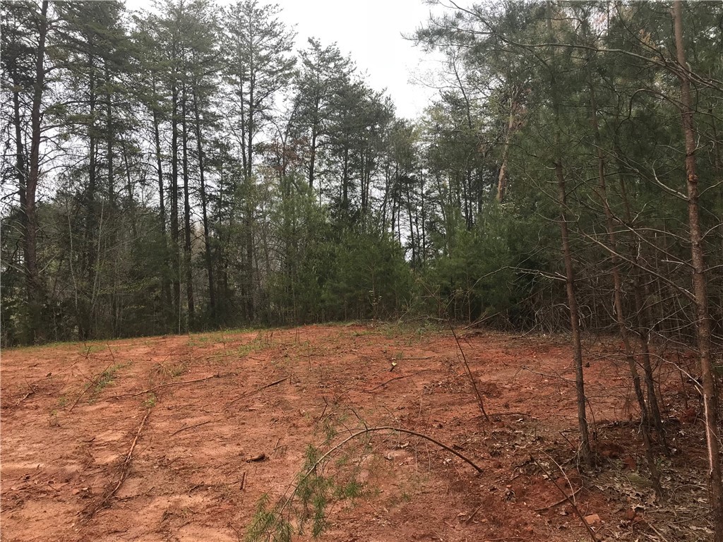 0 Campbell Bridge Road Seneca, SC 29678 - Photo 1 of 22 Gallery Image 1