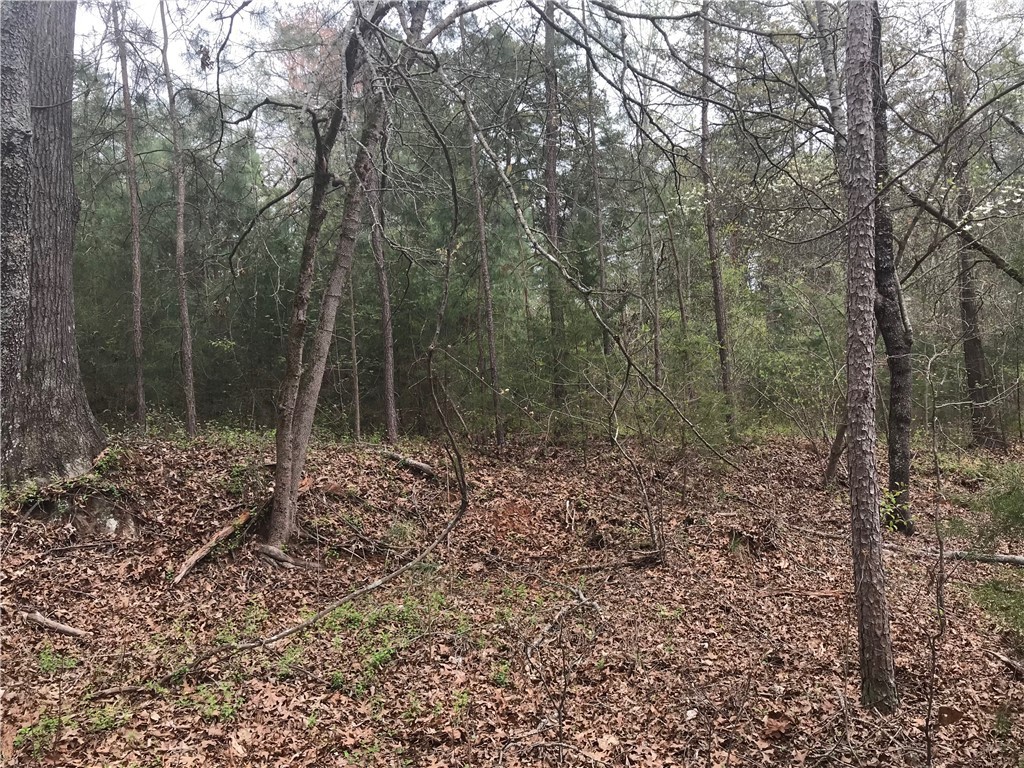 0 Campbell Bridge Road Seneca, SC 29678 - Photo 18 of 22 Gallery Image 18