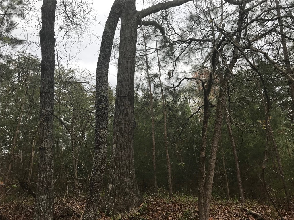 0 Campbell Bridge Road Seneca, SC 29678 - Photo 19 of 22 Gallery Image 19