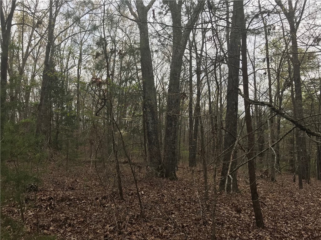 0 Campbell Bridge Road Seneca, SC 29678 - Photo 20 of 22 Gallery Image 20