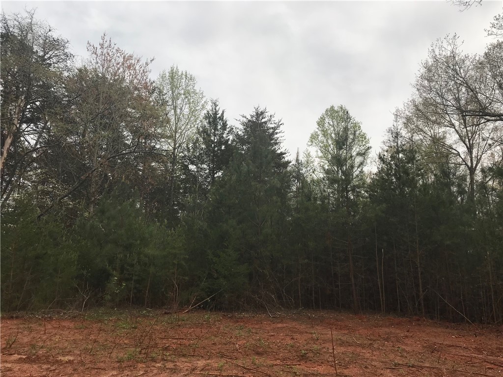 0 Campbell Bridge Road Seneca, SC 29678 - Photo 2 of 22 Gallery Image 2