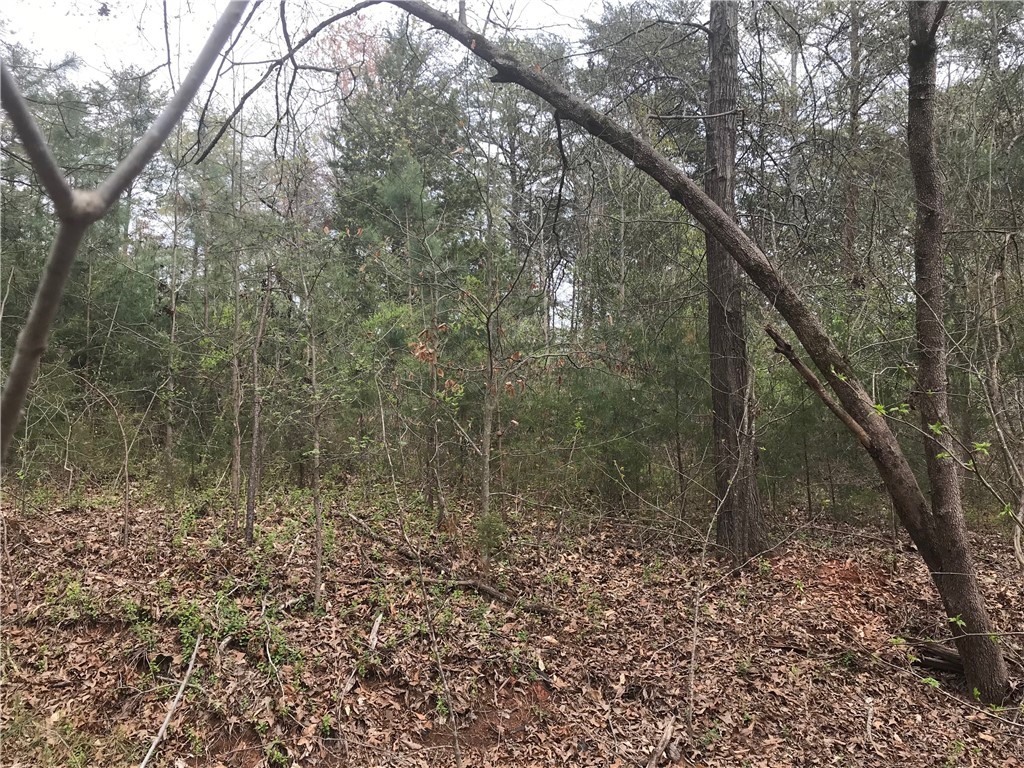 0 Campbell Bridge Road Seneca, SC 29678 - Photo 3 of 22 Gallery Image 3