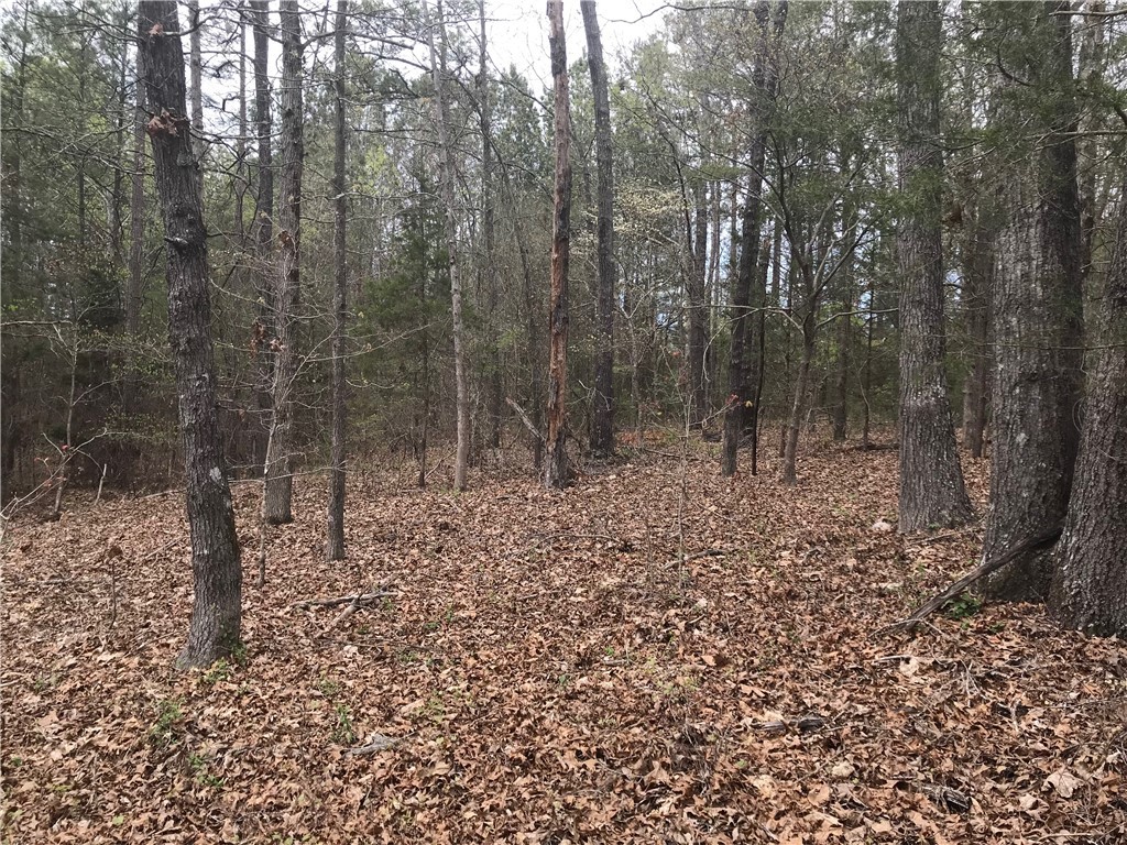 0 Campbell Bridge Road Seneca, SC 29678 - Photo 5 of 22 Gallery Image 5