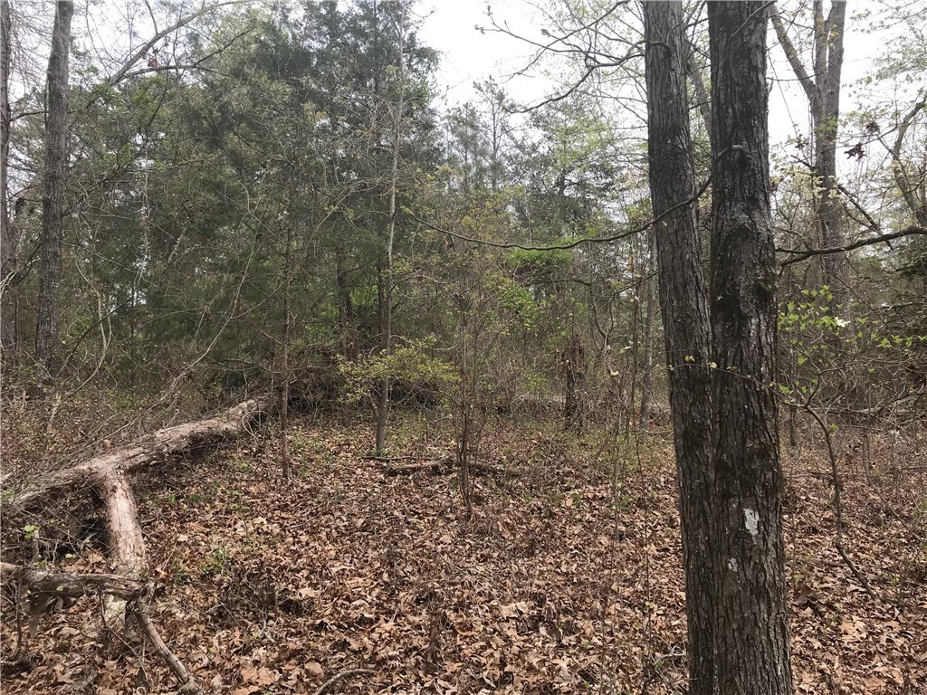 0 Campbell Bridge Road Seneca, SC 29678 - Photo 6 of 22 Gallery Image 6