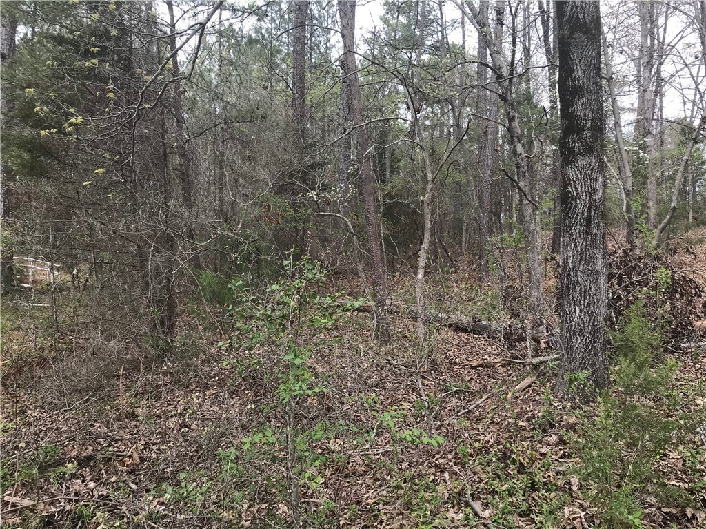 0 Campbell Bridge Road Seneca, SC 29678 - Photo 7 of 22 Gallery Image 7
