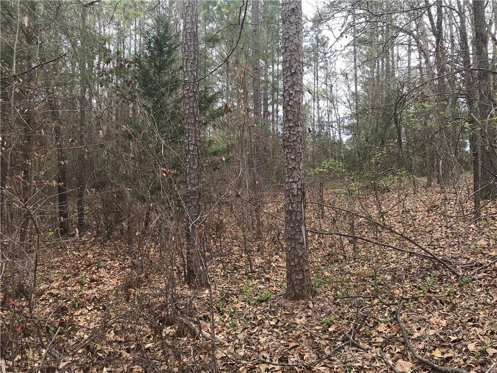 0 Campbell Bridge Road Seneca, SC 29678 - Photo 10 of 22 Gallery Image 10