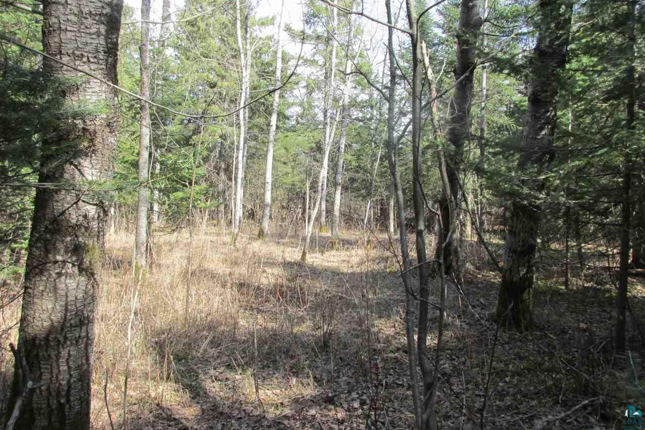 5540 Rice Lake Road Duluth, MN 55803 - Photo 13 of 20