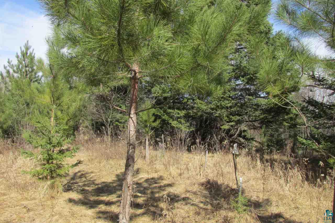 5540 Rice Lake Road Duluth, MN 55803 - Photo 14 of 20