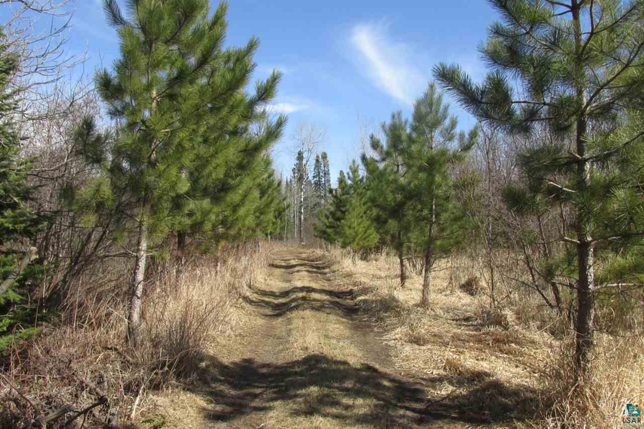 5540 Rice Lake Road Duluth, MN 55803 - Photo 16 of 20
