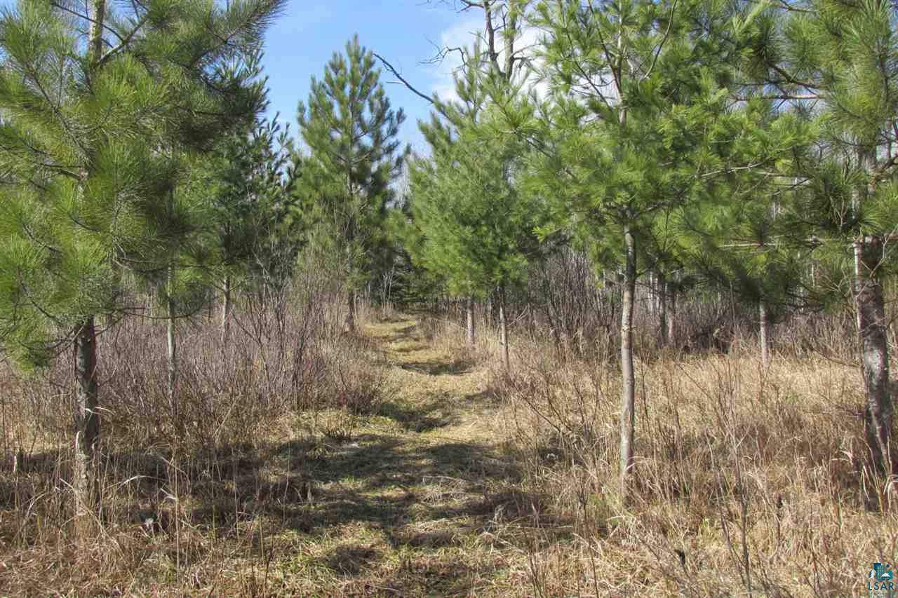 5540 Rice Lake Road Duluth, MN 55803 - Photo 17 of 20