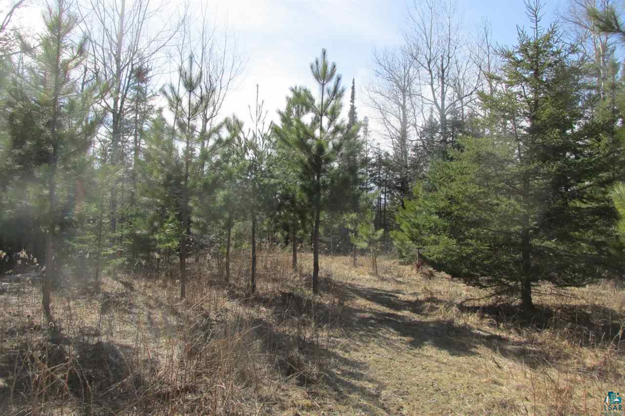 5540 Rice Lake Road Duluth, MN 55803 - Photo 18 of 20
