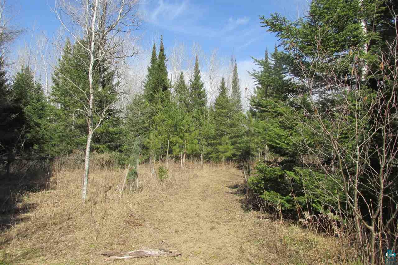 5540 Rice Lake Road Duluth, MN 55803 - Photo 3 of 20