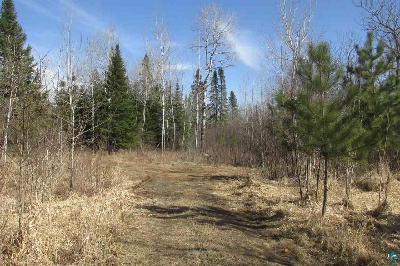 5540 Rice Lake Road Duluth, MN 55803 - Photo 7 of 20