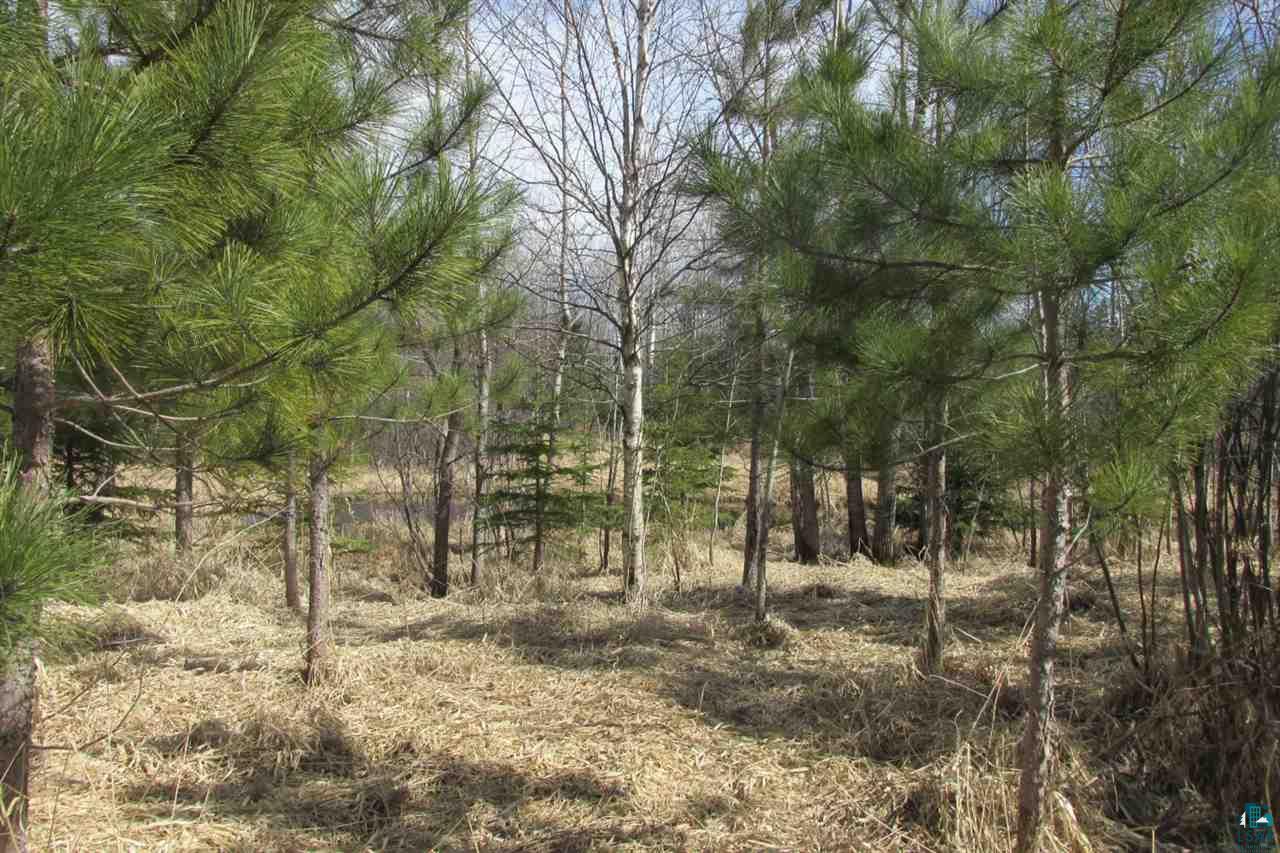 5540 Rice Lake Road Duluth, MN 55803 - Photo 8 of 20