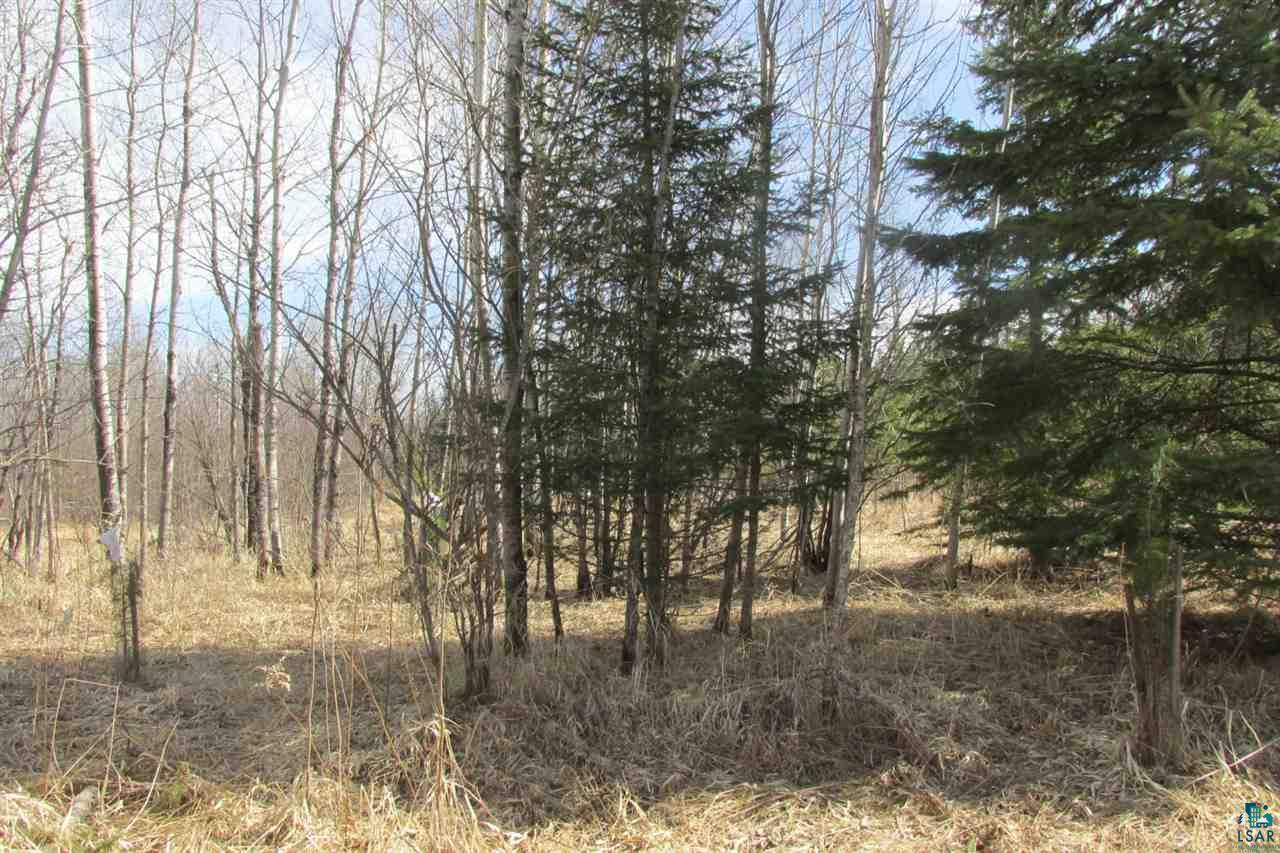 5540 Rice Lake Road Duluth, MN 55803 - Photo 10 of 20