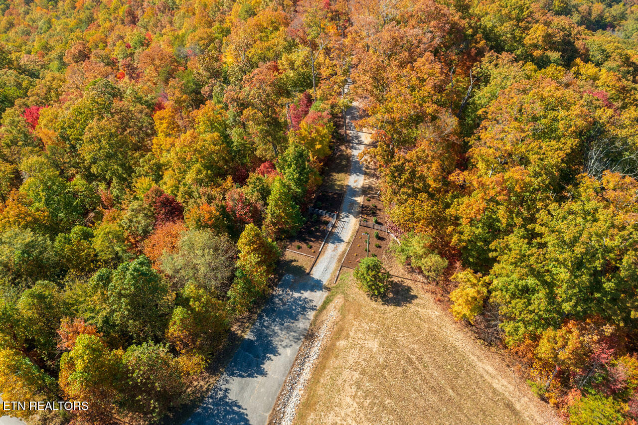 4903 Long Rifle Road Walland, TN 37886 - Photo 11 of 28 Entrance to Central Section