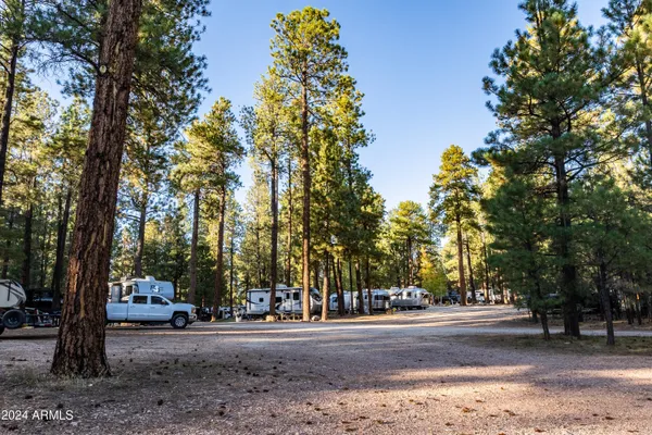 a view of street with large trees