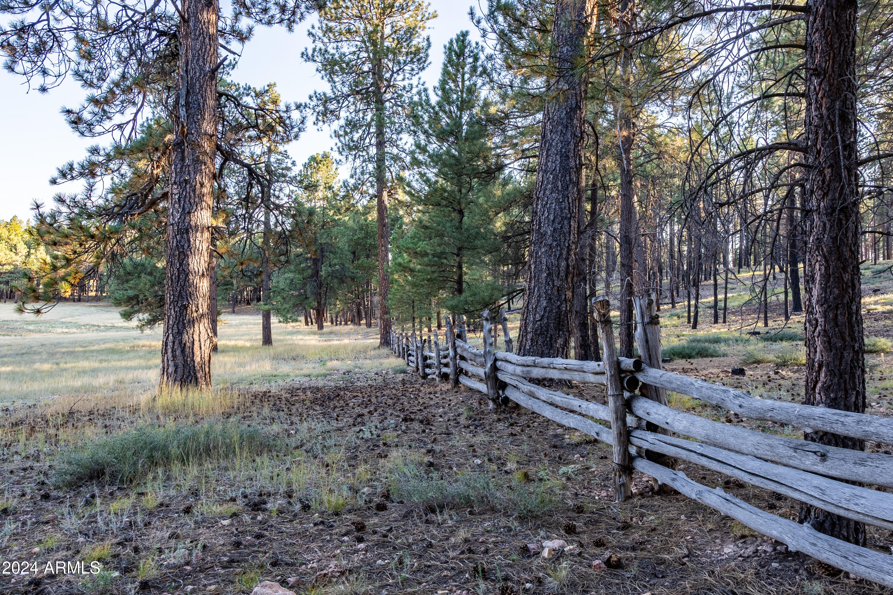 770 Forest Service 461 Road Fredonia, AZ 86022 - Photo 53 of 66 a view of a yard with large trees