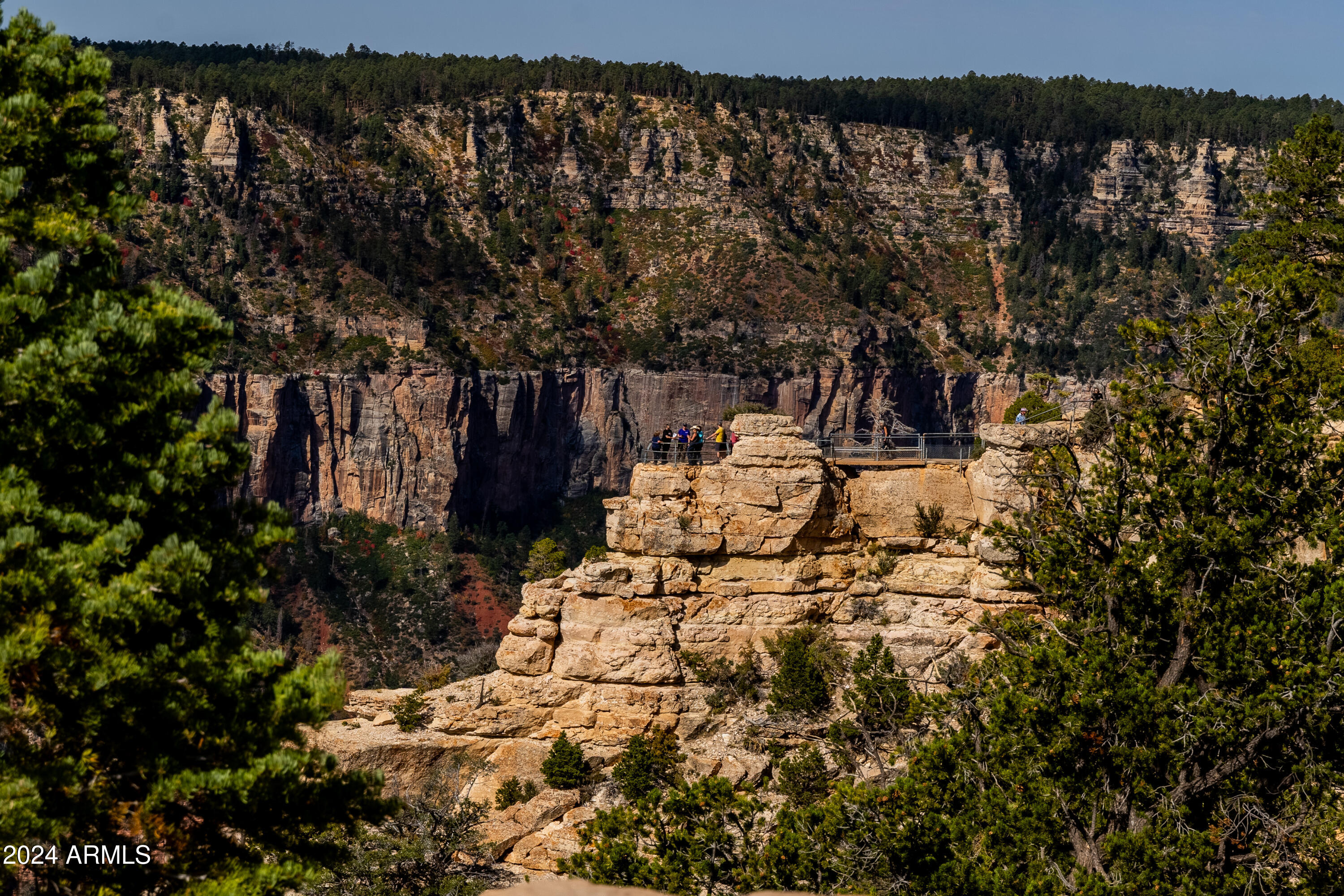 770 Forest Service 461 Road Fredonia, AZ 86022 - Photo 63 of 66 a view of outdoor space with garden
