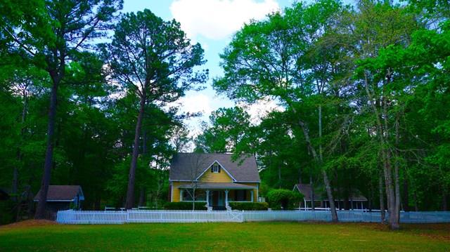 1165 Ginn Road Ellerslie, GA 31807 - Photo 2 of 46 Gallery Image 2