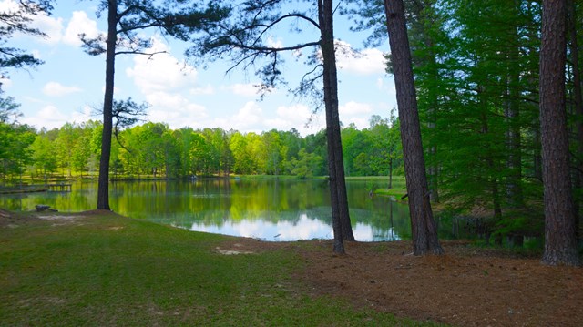 1165 Ginn Road Ellerslie, GA 31807 - Photo 32 of 46 Gallery Image 32