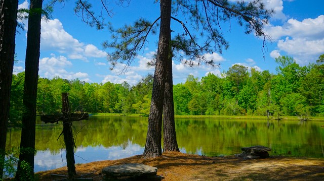 1165 Ginn Road Ellerslie, GA 31807 - Photo 42 of 46 Gallery Image 42