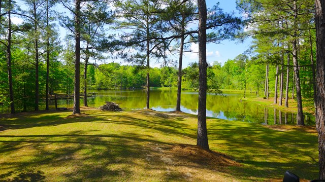 1165 Ginn Road Ellerslie, GA 31807 - Photo 44 of 46 Gallery Image 44