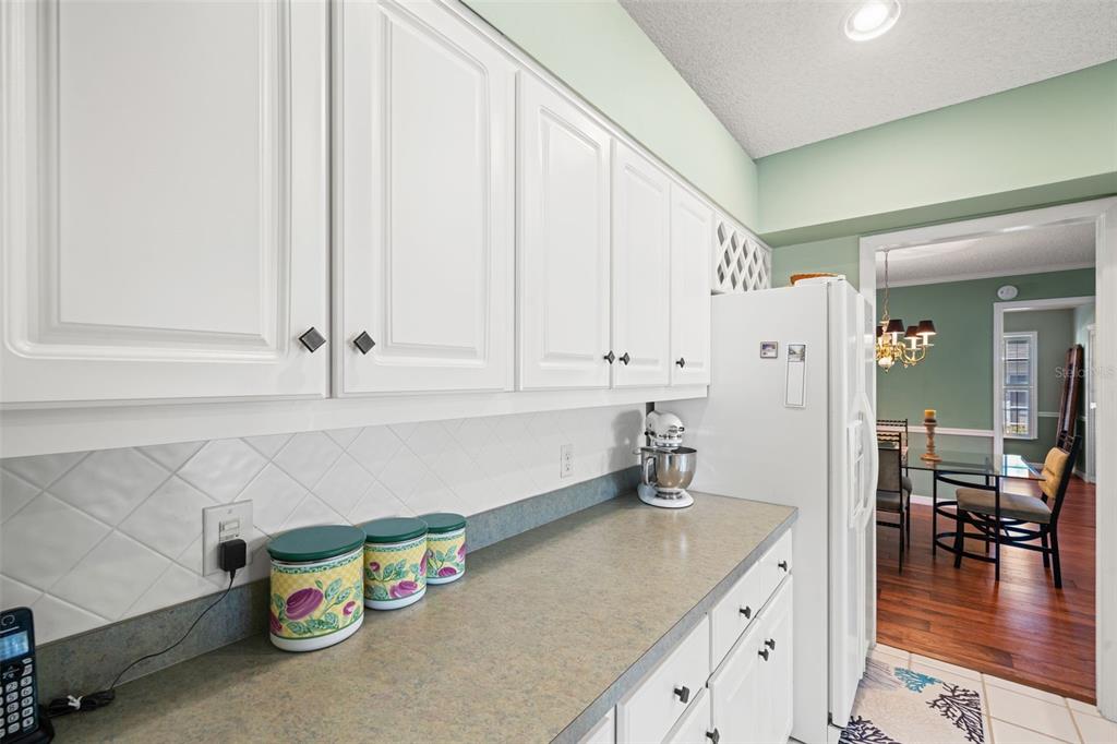 2647 Royal Ridge Drive Spring Hill, FL 34606 - Photo 28 of 73