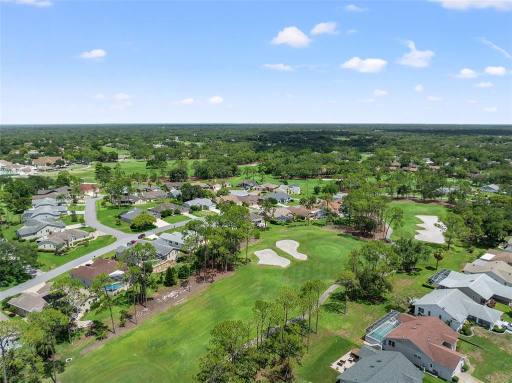 2647 Royal Ridge Drive Spring Hill, FL 34606 - Photo 73 of 73 an aerial view of residential houses with outdoor space and trees