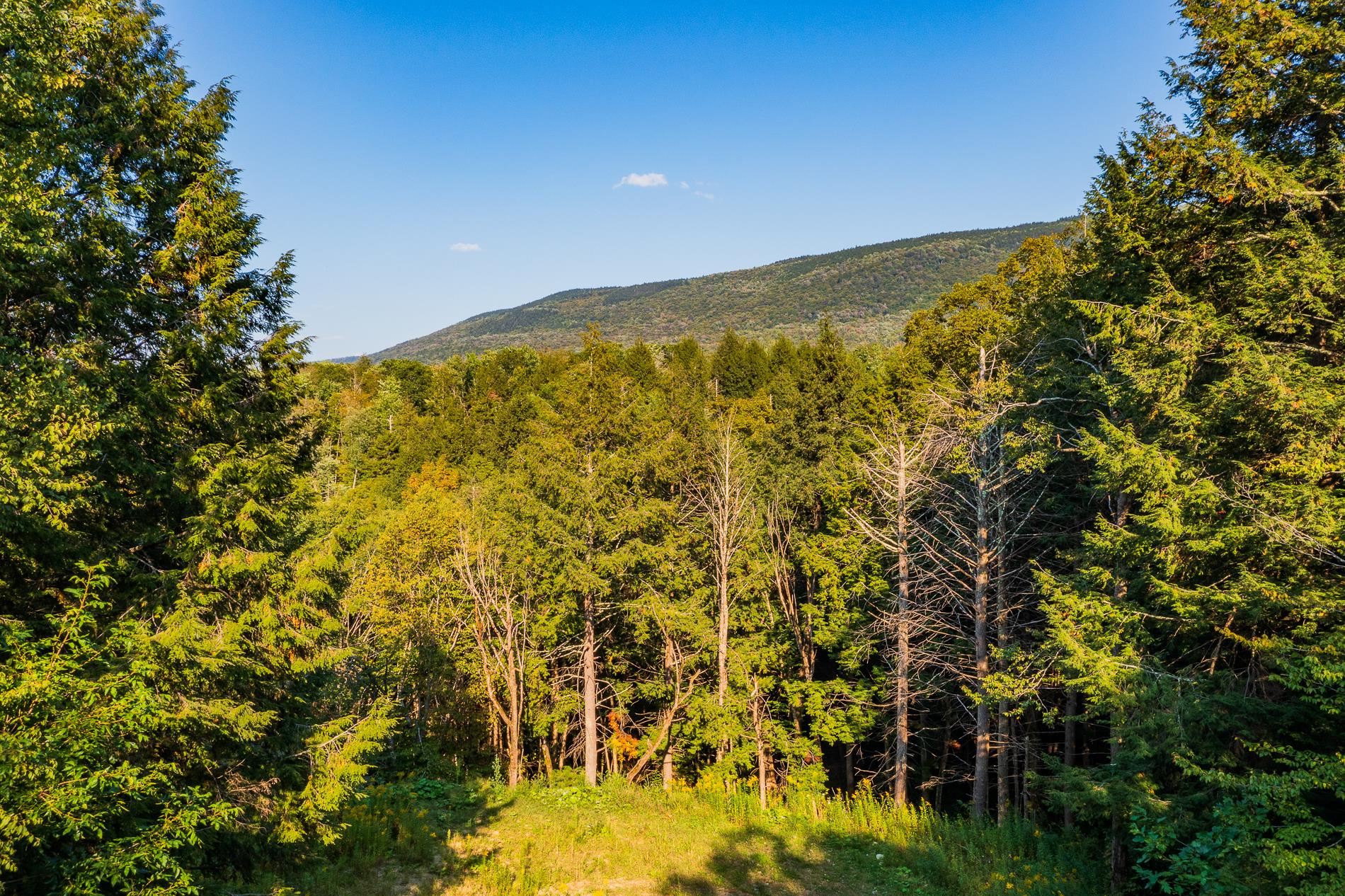 0 Alden Road, Unit LAND LOT #17 Sunderland, VT 05250 - Photo 1 of 17 Gallery Image 1