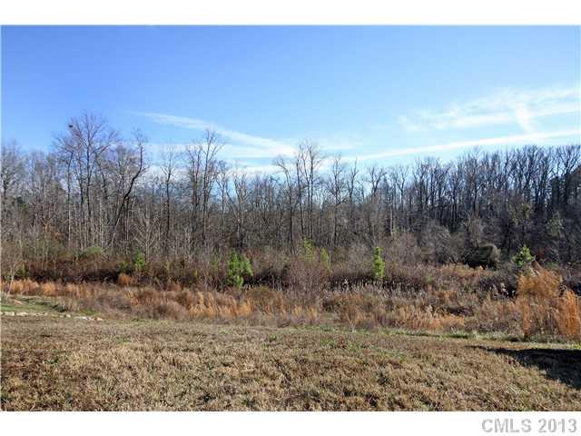 3306 Streamside Drive Davidson, NC 28036 - Photo 9 of 16