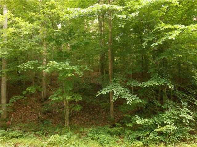 7876 Oscar Green Road Primm Springs, TN 38476 - Photo 3 of 20 View of property from road. Home can't be seen from road. VERY PRIVATE!