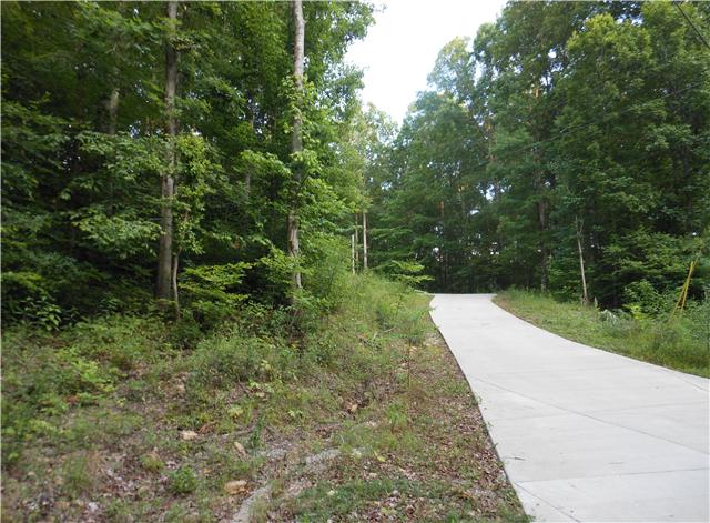 7876 Oscar Green Road Primm Springs, TN 38476 - Photo 4 of 20 Concrete driveway