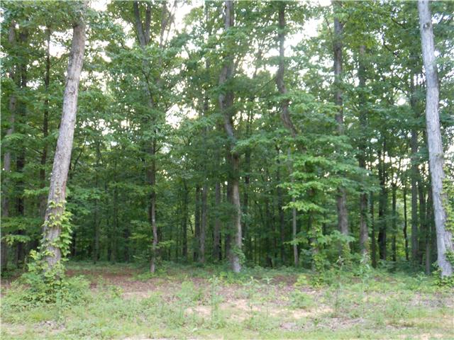 7876 Oscar Green Road Primm Springs, TN 38476 - Photo 5 of 20 View from front porch