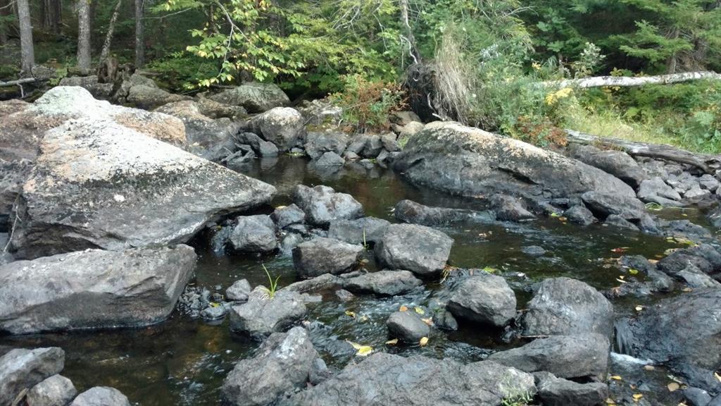59 Jarvis Cart Road Surry, ME 04684 - Photo 2 of 20 Photo