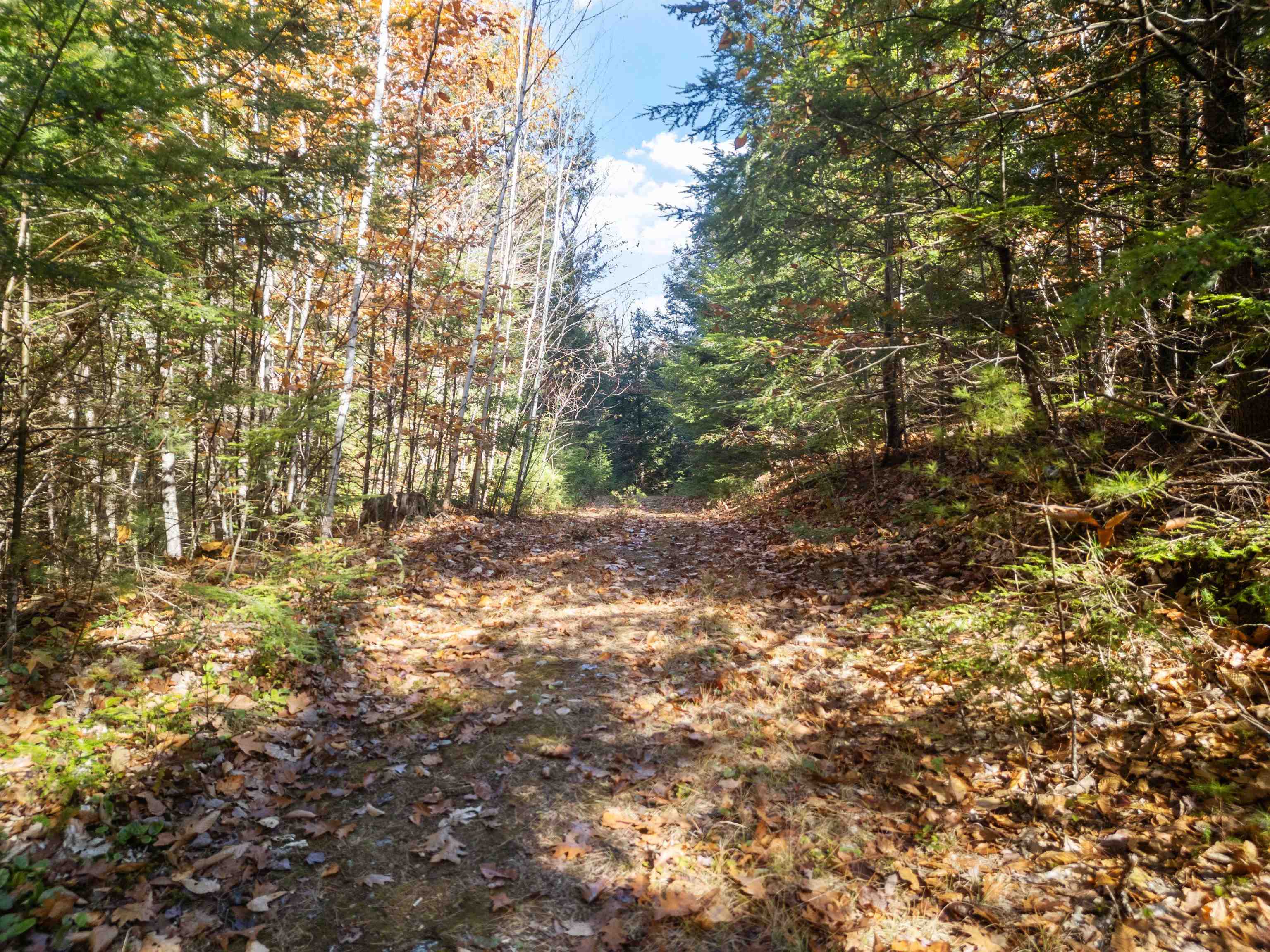 0 Binks Hill Road Plymouth, NH 03264 - Photo 11 of 17