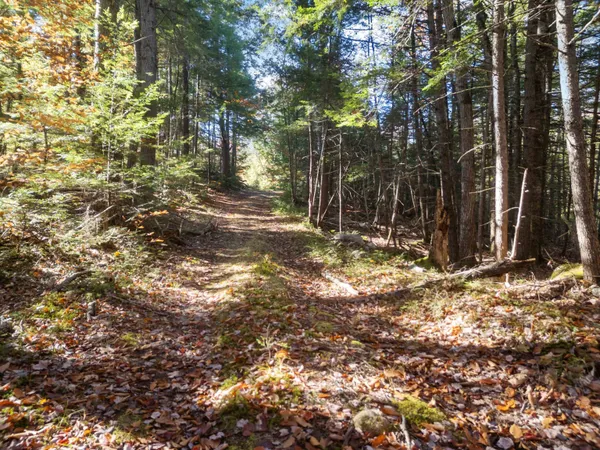 $390,000 | 0 Binks Hill Road, Plymouth, NH 03264