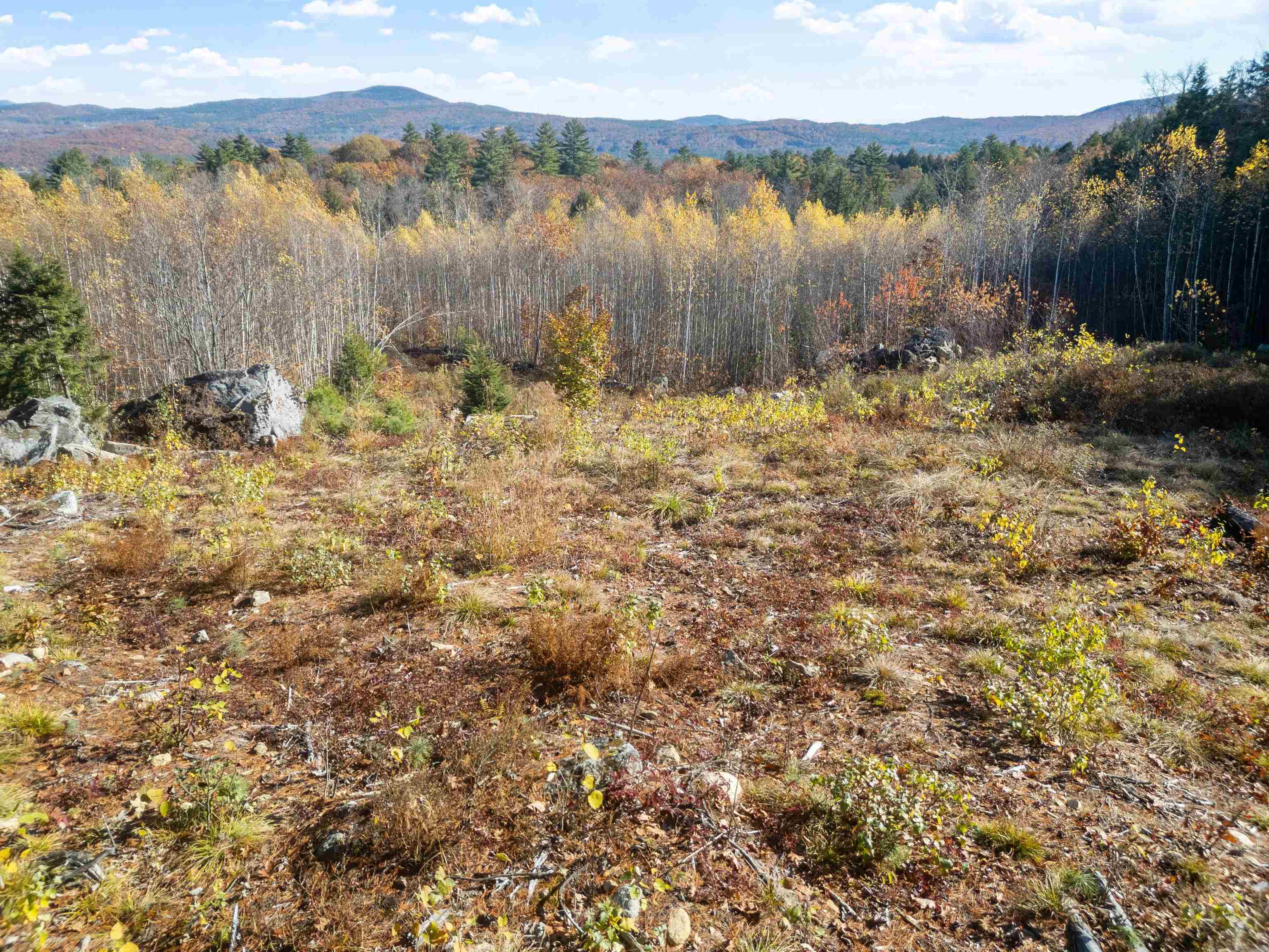 0 Binks Hill Road Plymouth, NH 03264 - Photo 4 of 17