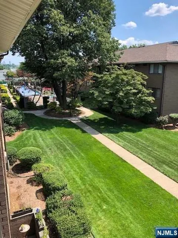 a view of a yard with plants and a fountain