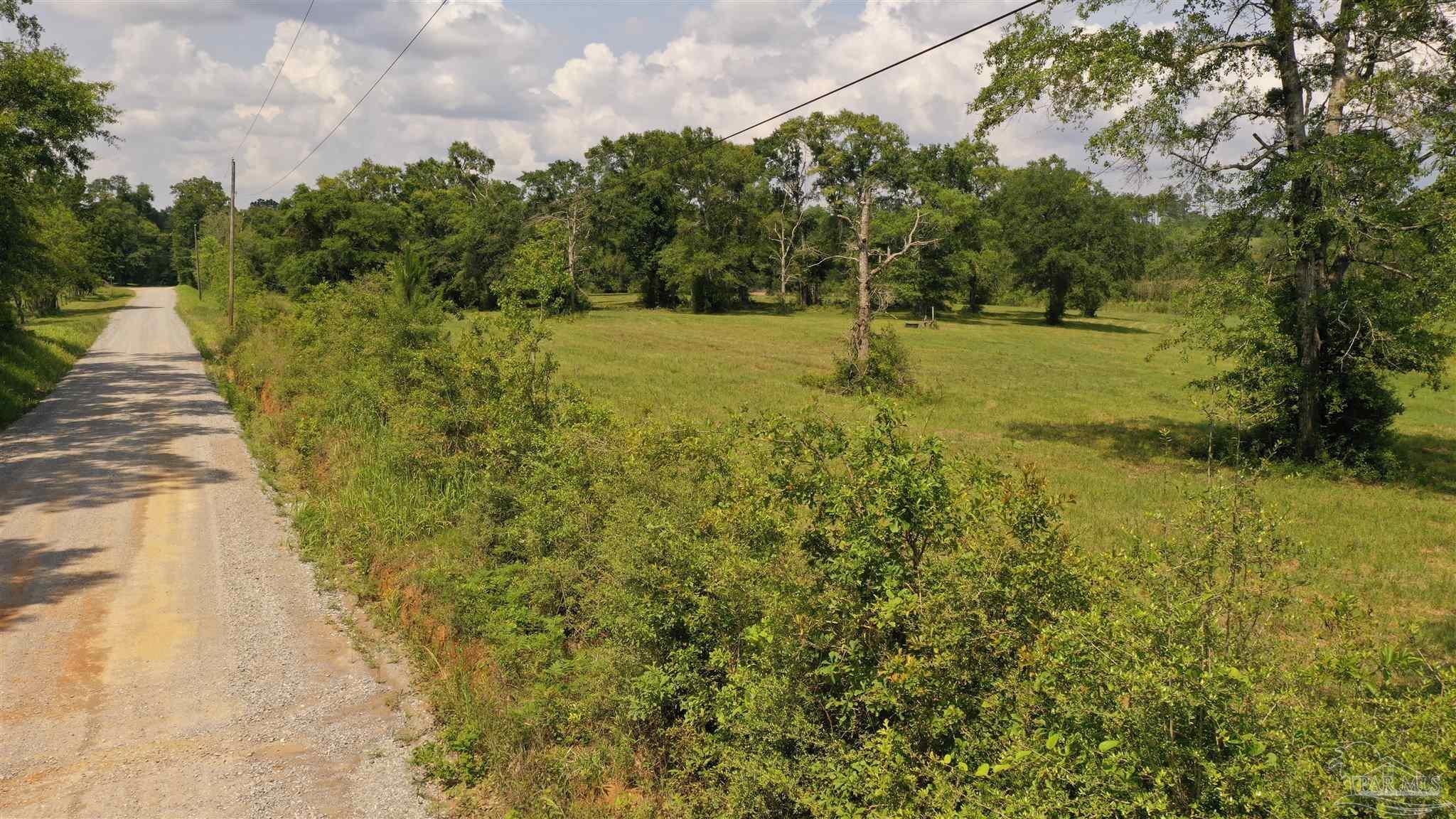 Lot 1 River Annex Road Cantonment, FL 32533 - Photo 6 of 20 Gallery Image 6