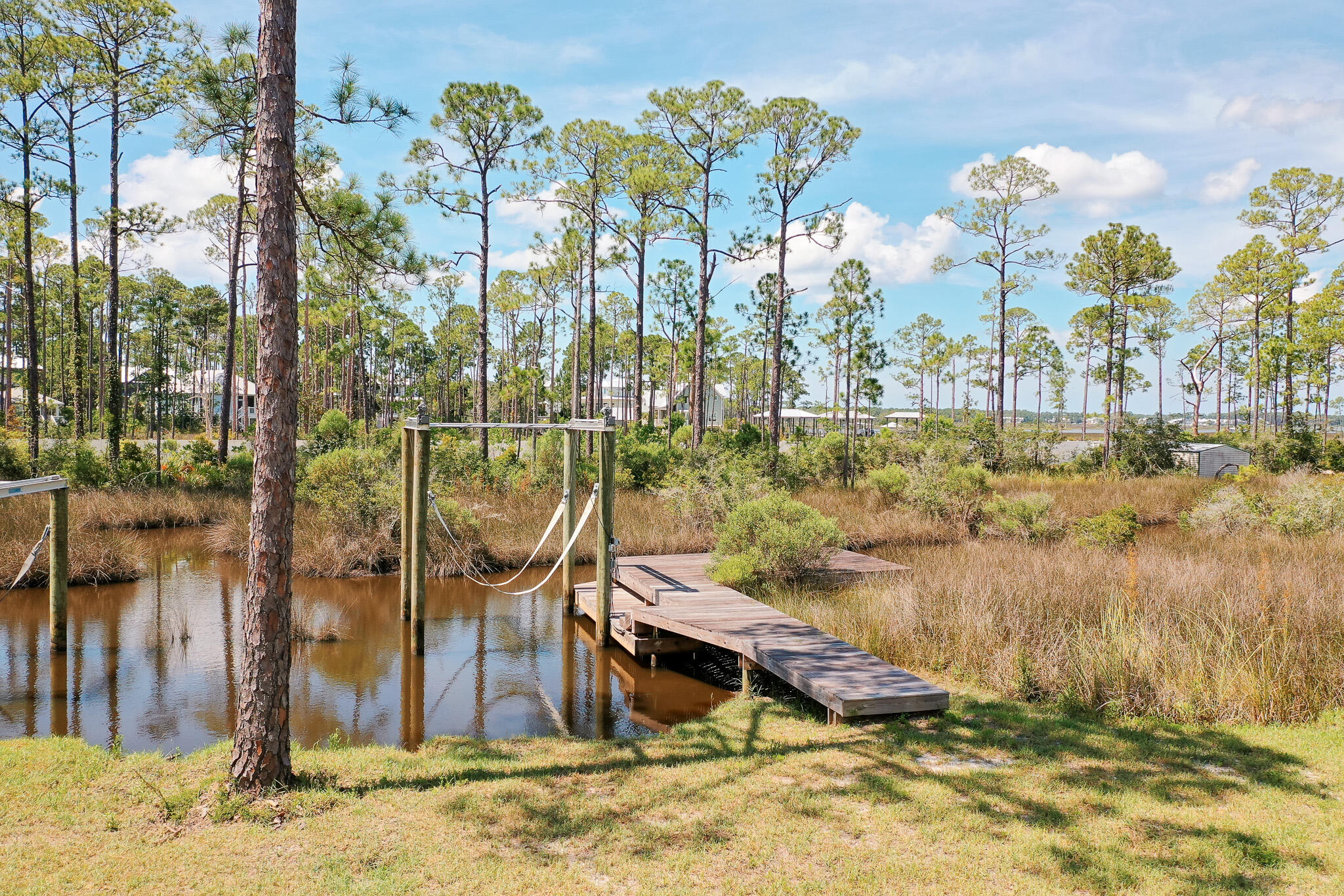 121 West Nursery Road Santa Rosa Beach, FL 32459 - Photo 9 of 66 a view of a houses with trees