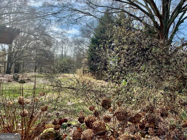 a view of a yard with a tree