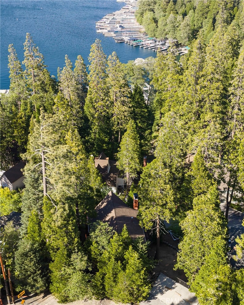 240 Blue Lake Road Lake Arrowhead, CA 92352 - Photo 24 of 31