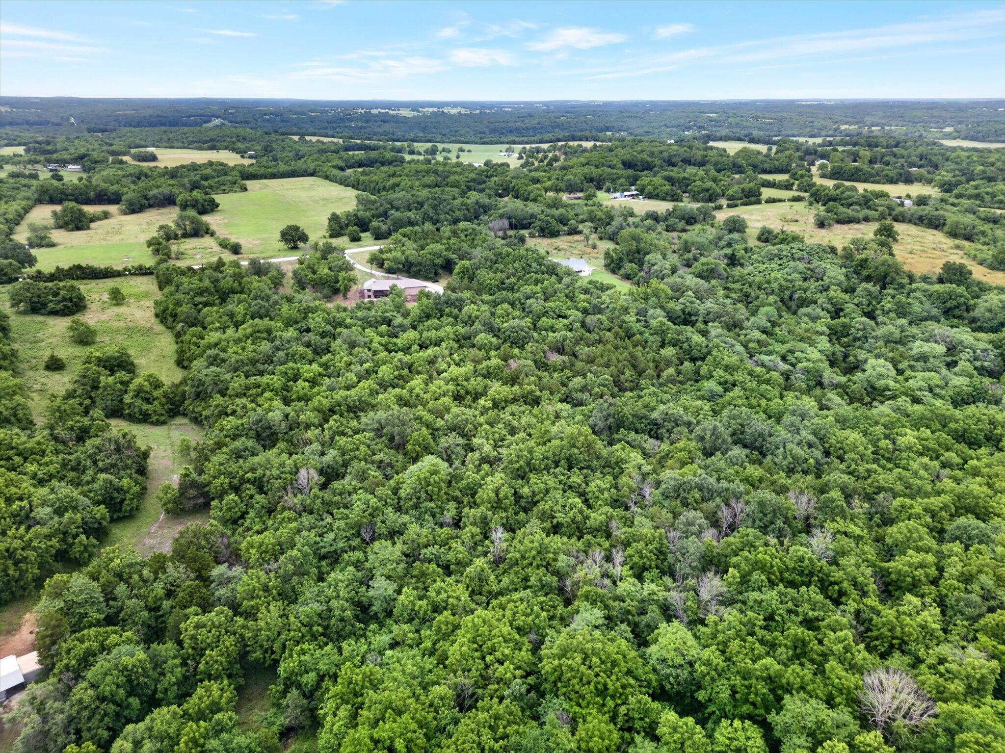 1230 East 567th Road Willard, MO 65781 - Photo 69 of 69 70-DJI_0834