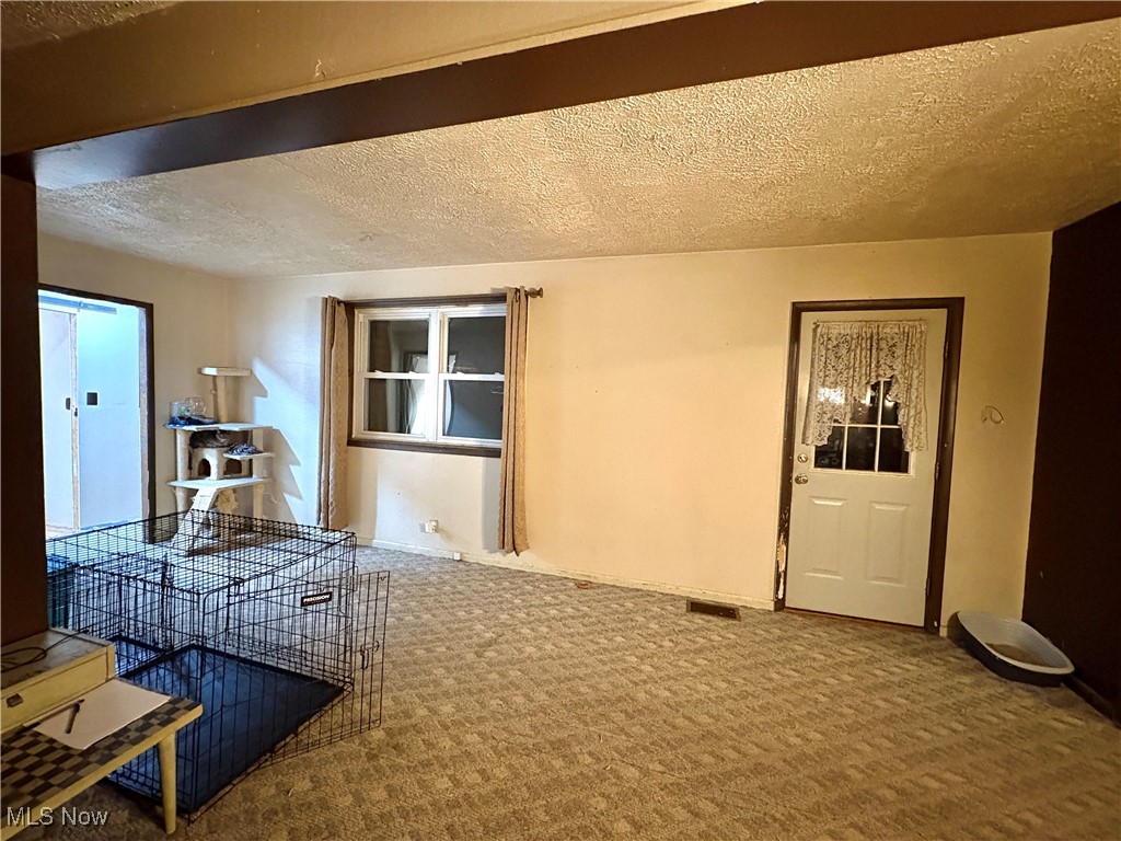 4542 Bloomfield Road Cambridge, OH 43725 - Photo 20 of 22 Unfurnished living room with a textured ceiling and carpet